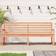 vidaXL natural douglas, 203.5 Garden Bench