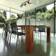 Steinhauer Gearwood Loftspot 3 Lyskilder Aflangt Antracit Spotlight