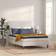 Flash Furniture Capri Coil Spring Mattress