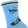 Melton Shark Socks - Adria Blue (221160-256)