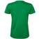 South West Venice T-shirt Women - Clear Green