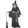 California Costumes Plus Size Glamour Witch Incantasia Costume