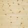 DalaFloda SoftPine Economy 6151413700 Solid Wood Floor
