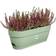 Elho Vibia Campana Trough 50cm Pistachio Green