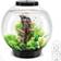 Biorb Classic 30L Aquarium with Multi Colour LED Light Remote Control