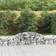 vidaXL Gabion Bågformad 300x50x40/60 cm Galvaniserat Järn