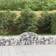 vidaXL 200 40/60 cm/ 9 Arched Gabion Basket Cage