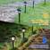 Maggift Solar Pathway Ground Lighting 13.4" 12