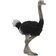 Collecta Ostrich