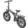 Engwe EP-2 Pro Folding Electric Bike 2022 - Black Unisex