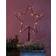 Sirius Top-Line Garden Julstjärna ∅ 60cm