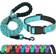 Reflective Dog Collar+Leash Medium