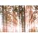 Artgeist Small Natural Wonders Billede 135x45cm