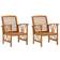 vidaXL 310267 2-pack Garden Dining Chair