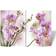 vidaXL Foldable Rumdeler 217x170cm
