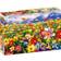 Enjoy Colorful Flower Meadow 1000 Pieces