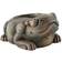 Exo Terra aztec frog water dish reptile