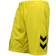 Hummel Denmark Goalkeeper Shorts 23/24