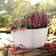 Lechuza Odlingskruka BACINO Cottage ALL-IN-ONE 30x30 ∅30cm