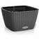 Lechuza Odlingskruka BACINO Cottage ALL-IN-ONE grafit