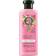 Herbal Essences Travel Smooth Conditioner with Rose Hips & Jojoba Extracts