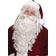 Fun World Super Deluxe Santa Claus Wig & Beard Set