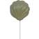 Nordlux Konchi Lamp Green Wall light