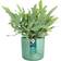 Elho The Ocean Collection Round Planter 16 cm