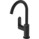 Hansgrohe Rebris E(72536670) Negro mate