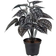 Mr Plant Silverranka Konstgjord växt