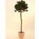 Europalms Laurel Ball Kunstig plante