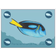 Ocean Great Barrier Reef