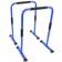 Gorilla Sports PARALLETTE PUSH UP BARS COLOR