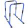 Gorilla Sports Parallette Push Up Bars Color