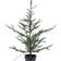 Sirius Milas Cedar Christmas Tree Ornament 100cm