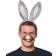 Forum Novelties Democrat Donkey Ears Disguise Kit