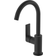 Hansgrohe Rebris E 210(72576670) Matt black