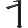 Hansgrohe Rebris E(72581670) Negro mate