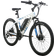 Totem Electric Bike for Adults 26” - VICTOR 2.0-white