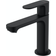 Hansgrohe Rebris S (72517670) Mat sort