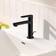 Hansgrohe Rebris S (72517670) Matt black