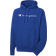 Champion Powerblend Script Logo Hoodie - Surf The Web