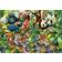 Schmidt Spiele Colorful Wildlife 1500 Pieces