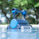 Dolphin Premier Robotic Pool Cleaner