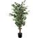 Leaf Variagated Tall Artificial Plant