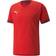 Puma Men's Team Final Jersey - Red/Rio Red