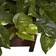 Nearly Natural Pothos Artificial Plant