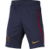 Nike Paris Saint-Germain Strike Dri-FIT Knit Football Shorts