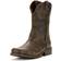 Ariat Rambler M - Antiqued Grey