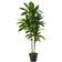 Nearly Natural Dracaena Artificial Plant